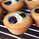 Blueberry Financiers