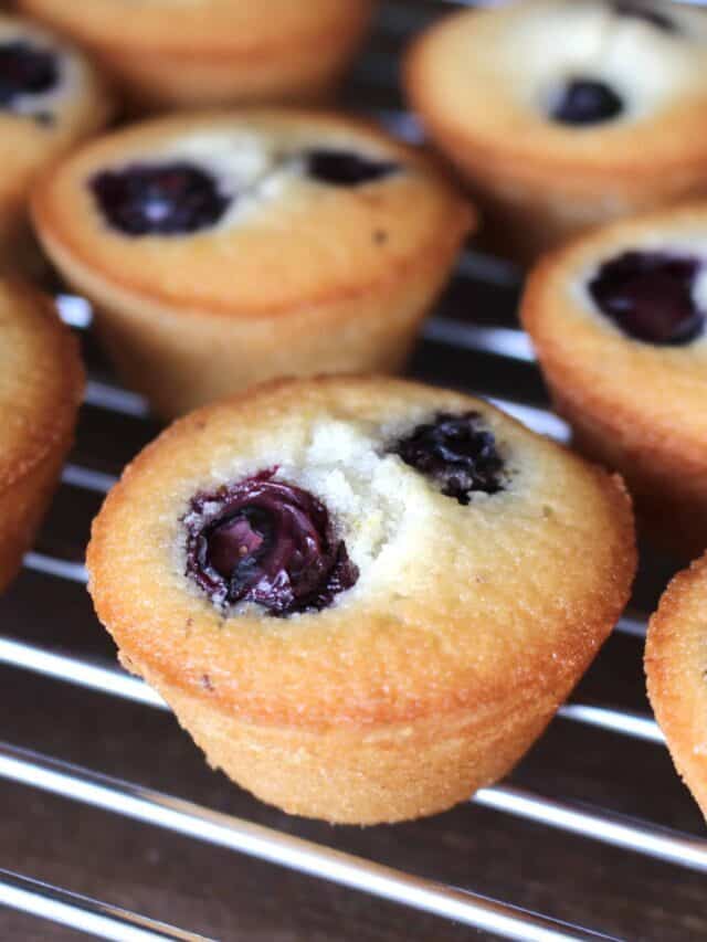 Lemon Blueberry Cake Bites