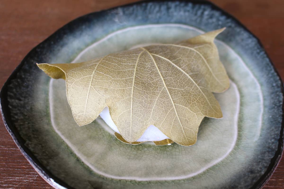 Kashiwa mochi wrapped in the traditional oak leaf on a hand thrown ceramic plate.