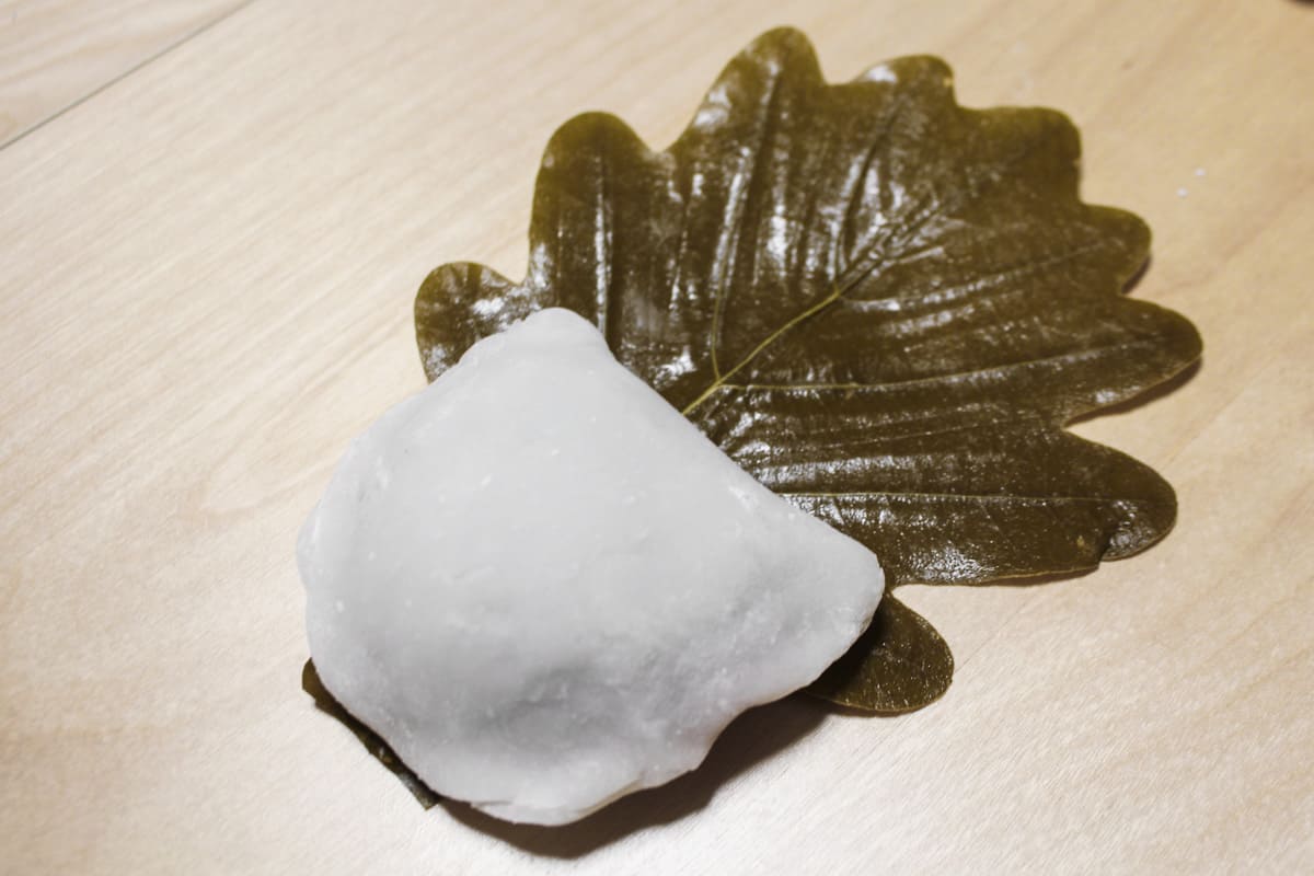 Kashiwa mochi has been folded in half like a clam and is wrapped in a kashiwa leaf.