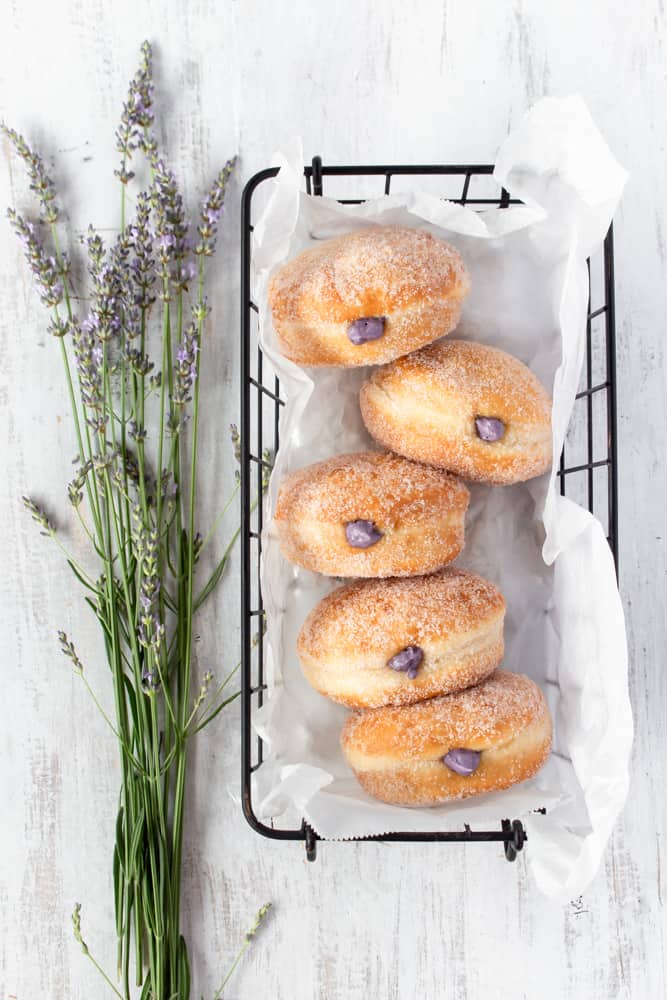 Super fluffy melt-in-your-mouth doughnuts, or donuts, that come together in a bread machine! They’re filled with a delicious blueberry cream cheese filling! #blueberry #creamcheese #doughnuts #donuts #breadmachine