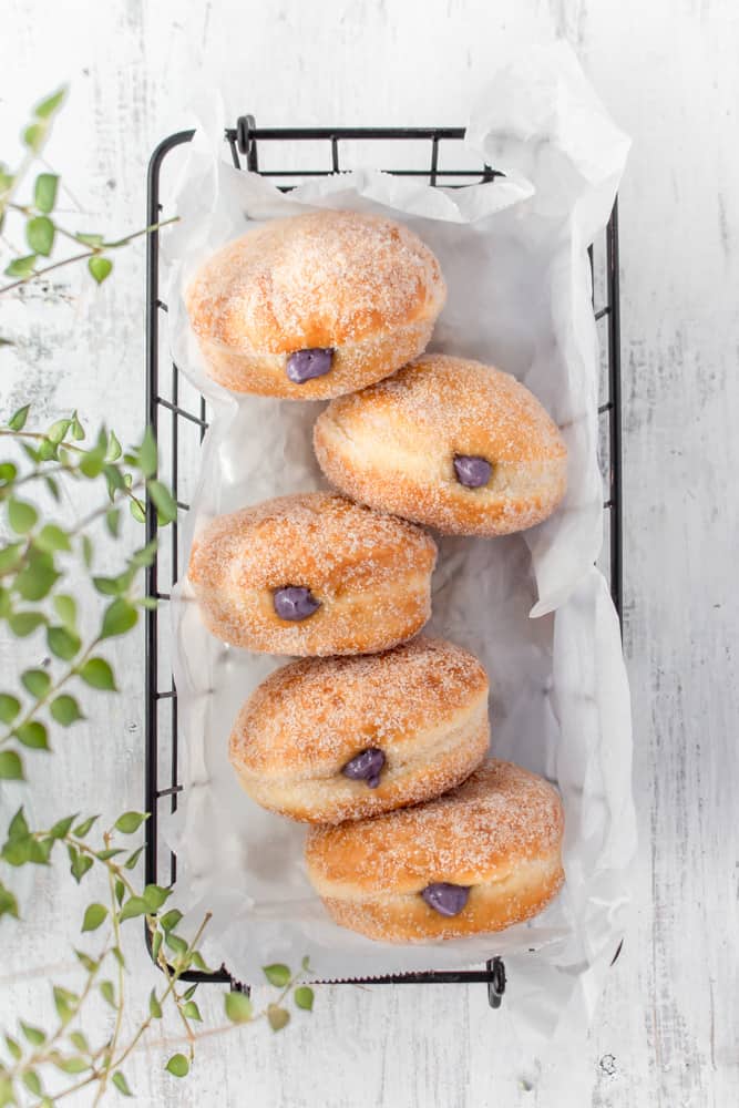 Super fluffy melt-in-your-mouth doughnuts, or donuts, that come together in a bread machine! They’re filled with a delicious blueberry cream cheese filling! #blueberry #creamcheese #doughnuts #donuts #breadmachine