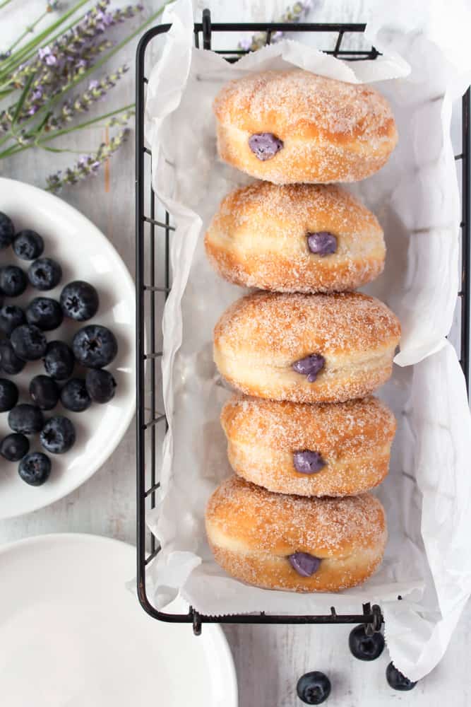 Super fluffy melt-in-your-mouth doughnuts, or donuts, that come together in a bread machine! They’re filled with a delicious blueberry cream cheese filling! #blueberry #creamcheese #doughnuts #donuts #breadmachine
