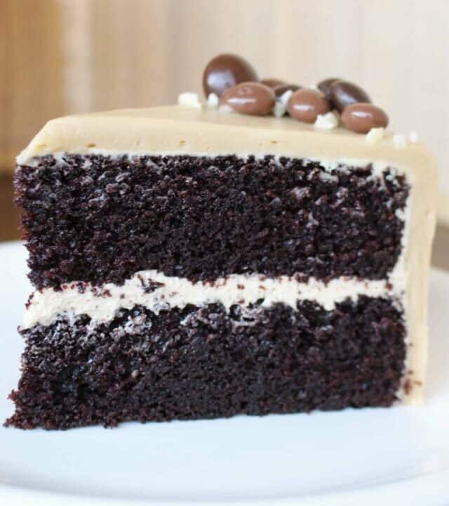 Chocolate Mocha Cake