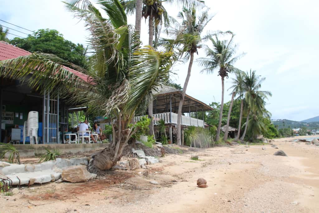 Honeymoon in Koh Samui & I'm Pregnant!