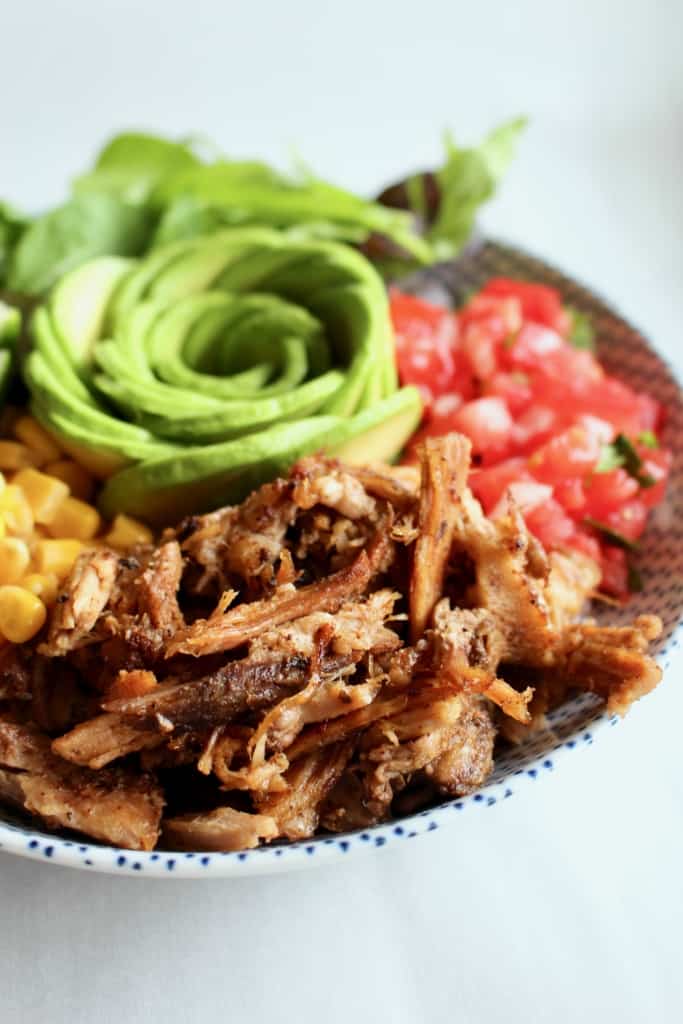 Pork carnitas on a plate with colorful vegetables.