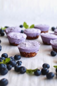 Vegan blueberry cheesecake bites unmolded.
