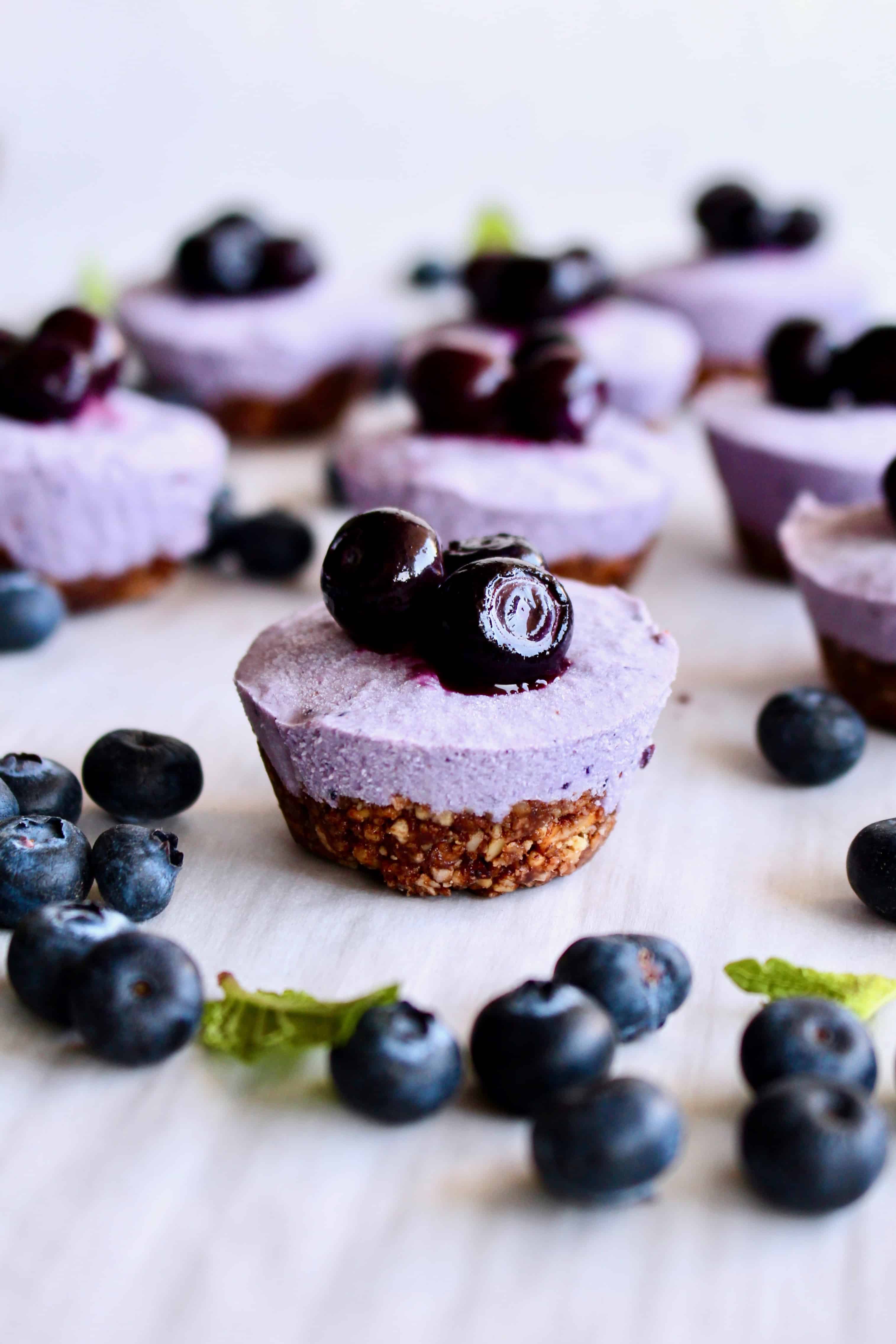Blueberry cheesecake bites with fresh blueberries on top.