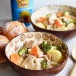 Vegan Japanese cream stew is the perfect dish to nourish your soul with comfort food this fall and winter! You’ll also be nourishing your body because it’s full of vegetables! I’ve swapped out the chicken for Nature’s Charm young green jackfruit, and the milk with Chef’s Choice coconut milk! #vegan #ChefsChoice #coconutmilk #NaturesCharm #jackfruit #jackfruitrecipe #veganrecipe #glutenfree #Japanese #creamstew #potatoes #carrots #onion #broccoli #fall #recipe #dinner #comfortfood #winter #creamy #dairyfree #meatfree #stew #creamsoup #vegetablestew