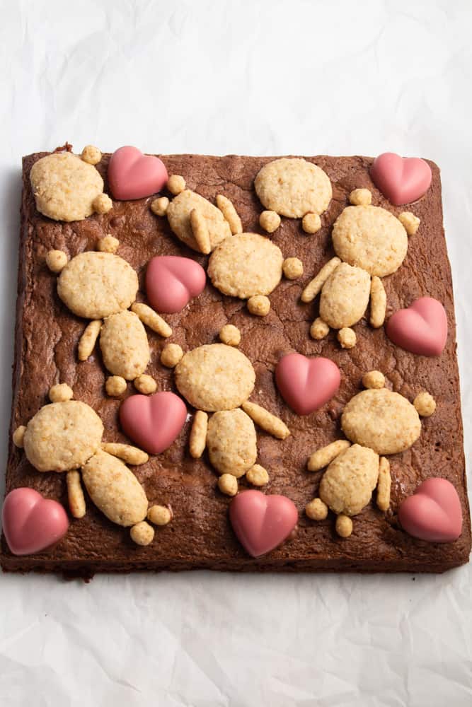 If you’re looking for a cute Valentine’s Day treat, look no further! These teddy bear brownies are cakey brownies topped with cookies and ruby chocolate hearts!