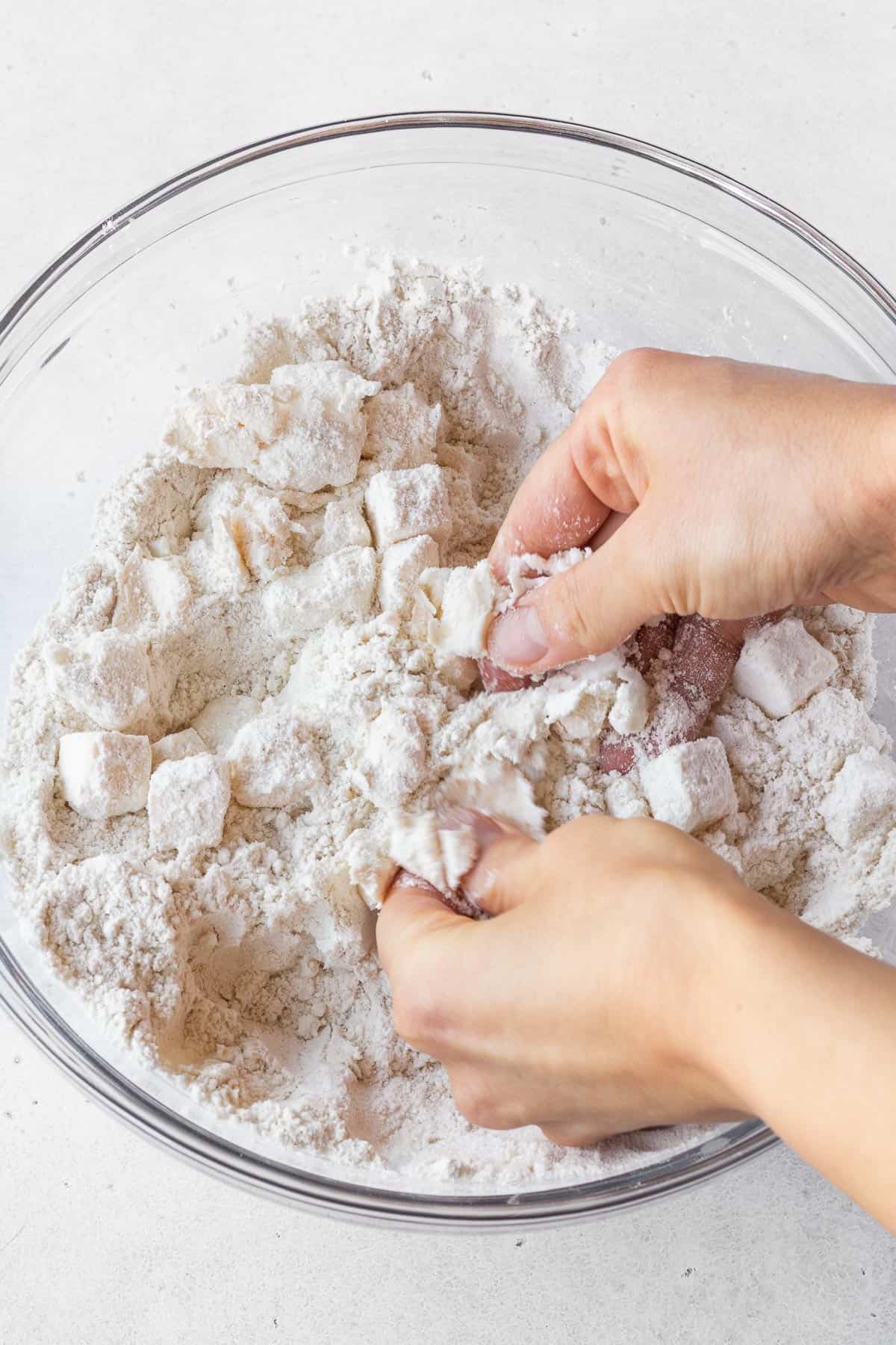 Vegan butter and shortening pinched together with the flour mixture.