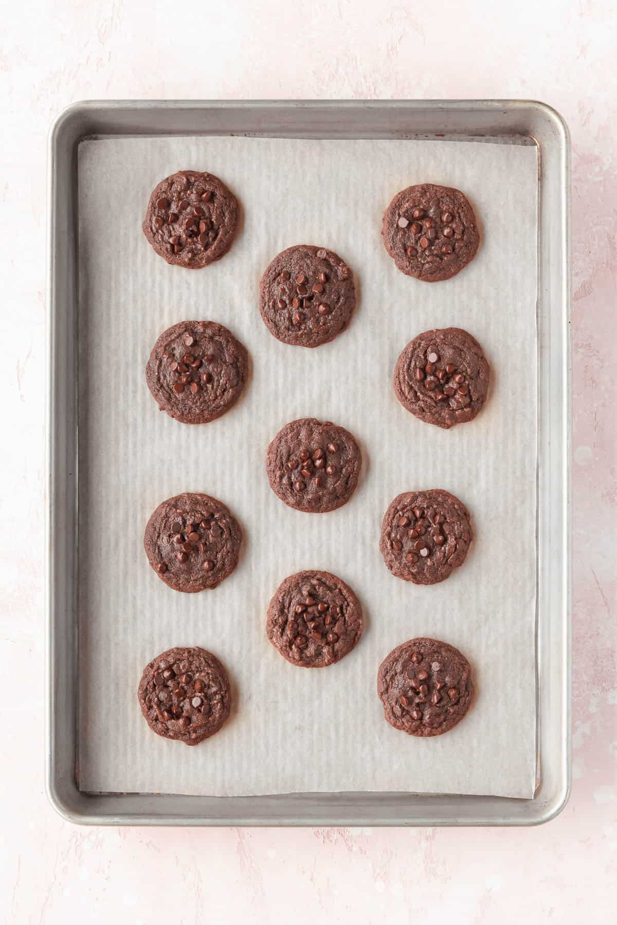 Chocolate cookies on a baking sheet after coming out of the oven.