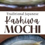 Long vertical pin of kashiwa mochi.