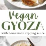 Vertical pin of vegan gyoza.