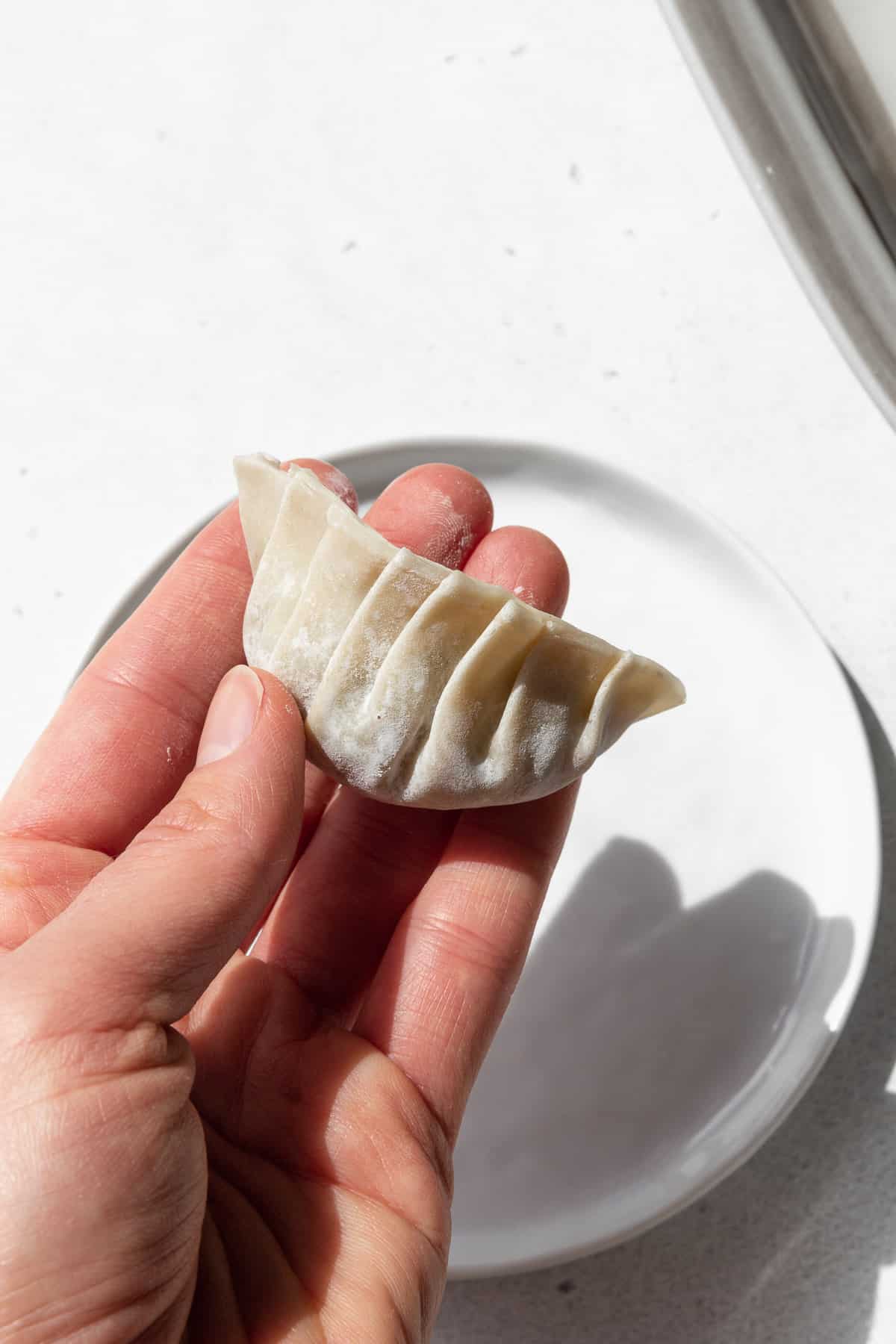 Completed vegetable gyoza.