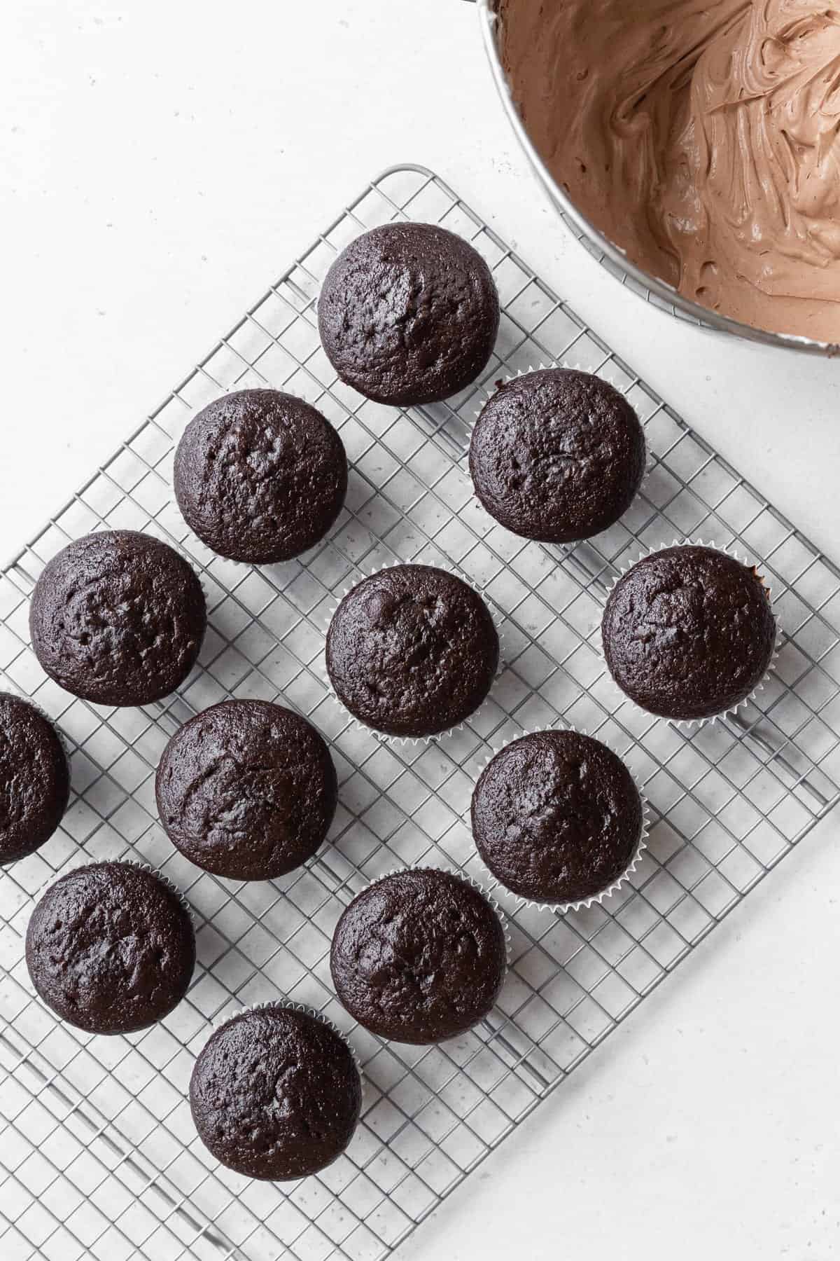 Unfrosted chocolate cupcakes cooling on a wire rack.