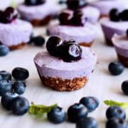 A blueberry cheesecake bite with blueberries in front.