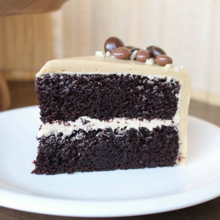 A slice of mocha cake on a white plate.